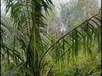IMG-20260827-WA0006