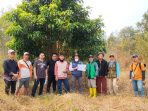 Oplus_131072 Oplus_131072